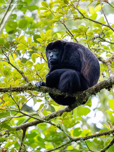 Costa Rica